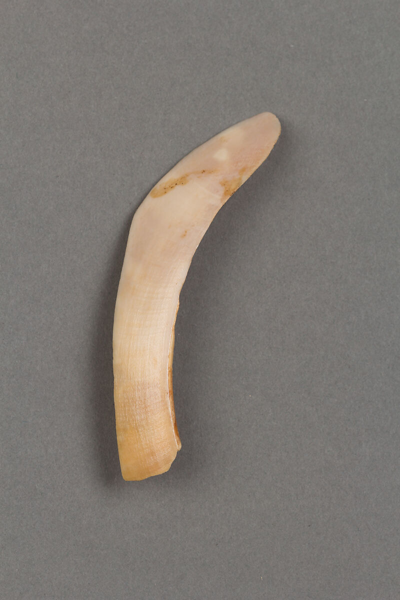 Arrowheads, needles, hooks and harpoons, Bone, Japan