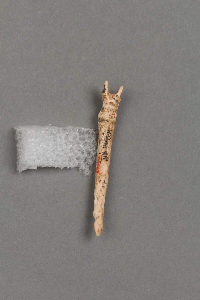 Fish hook, Bone, Japan