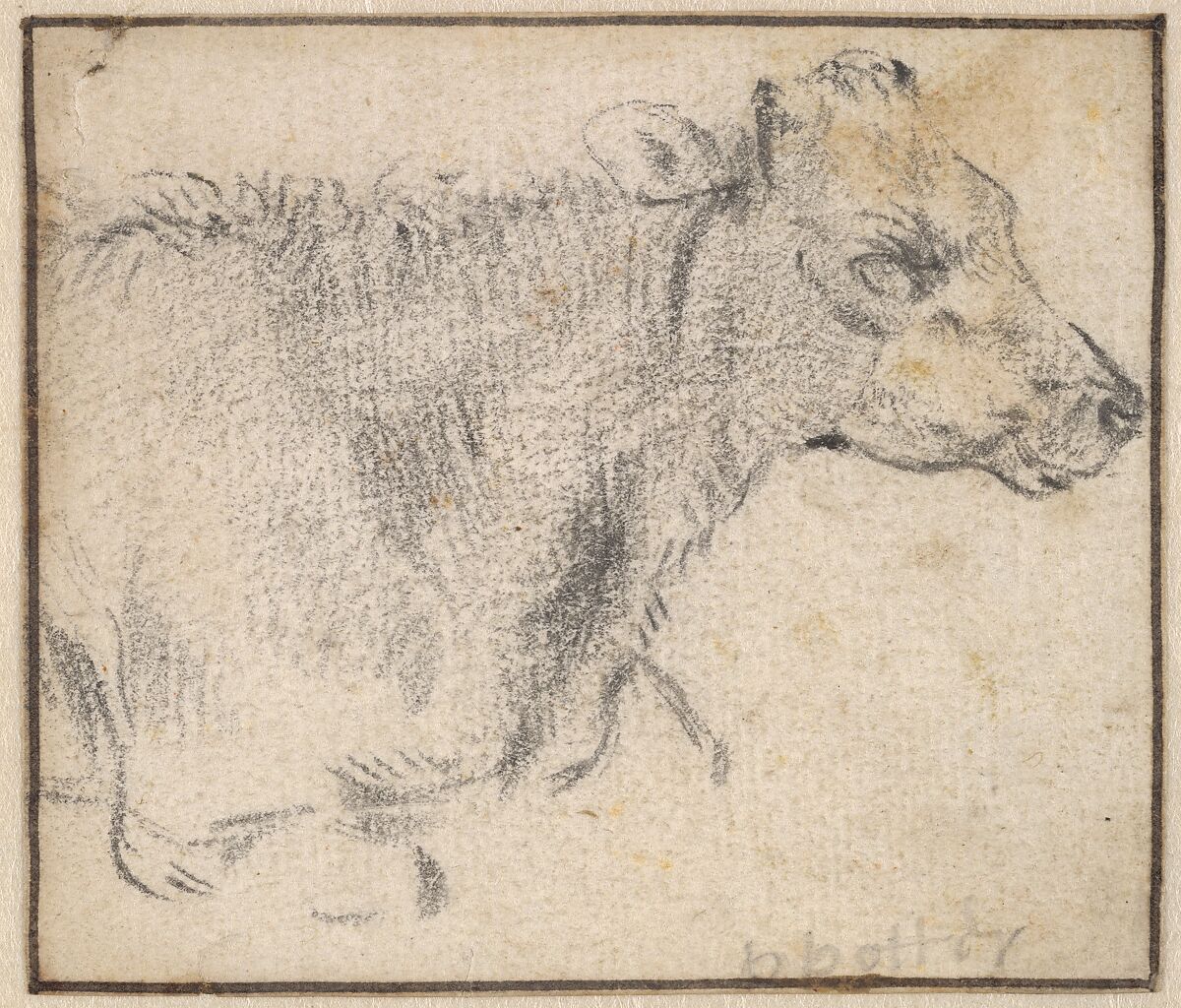 Study of a lying cow, Paulus Potter (Dutch, Enkhuizen 1625–1654 Amsterdam), Black chalk; framing line in pen and brown ink, by a later hand 