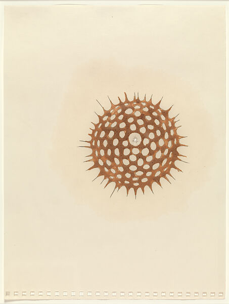Range, Donald Moffett (American, born San Antonio, Texas, 1955), Fudge and graphite on paper 
