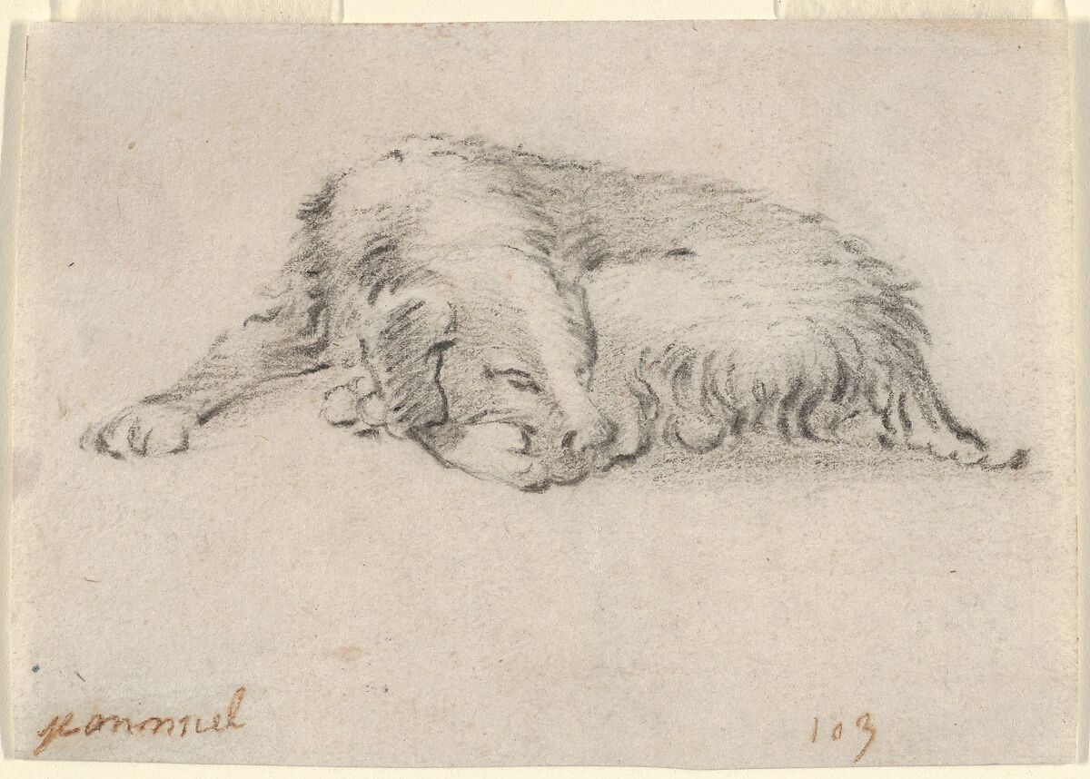 Study of a Sleeping Dog, Attributed to Jan Miel (Flemish, Beveren 1599–1664 Turin), Black chalk 