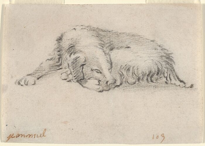 Study of a Sleeping Dog