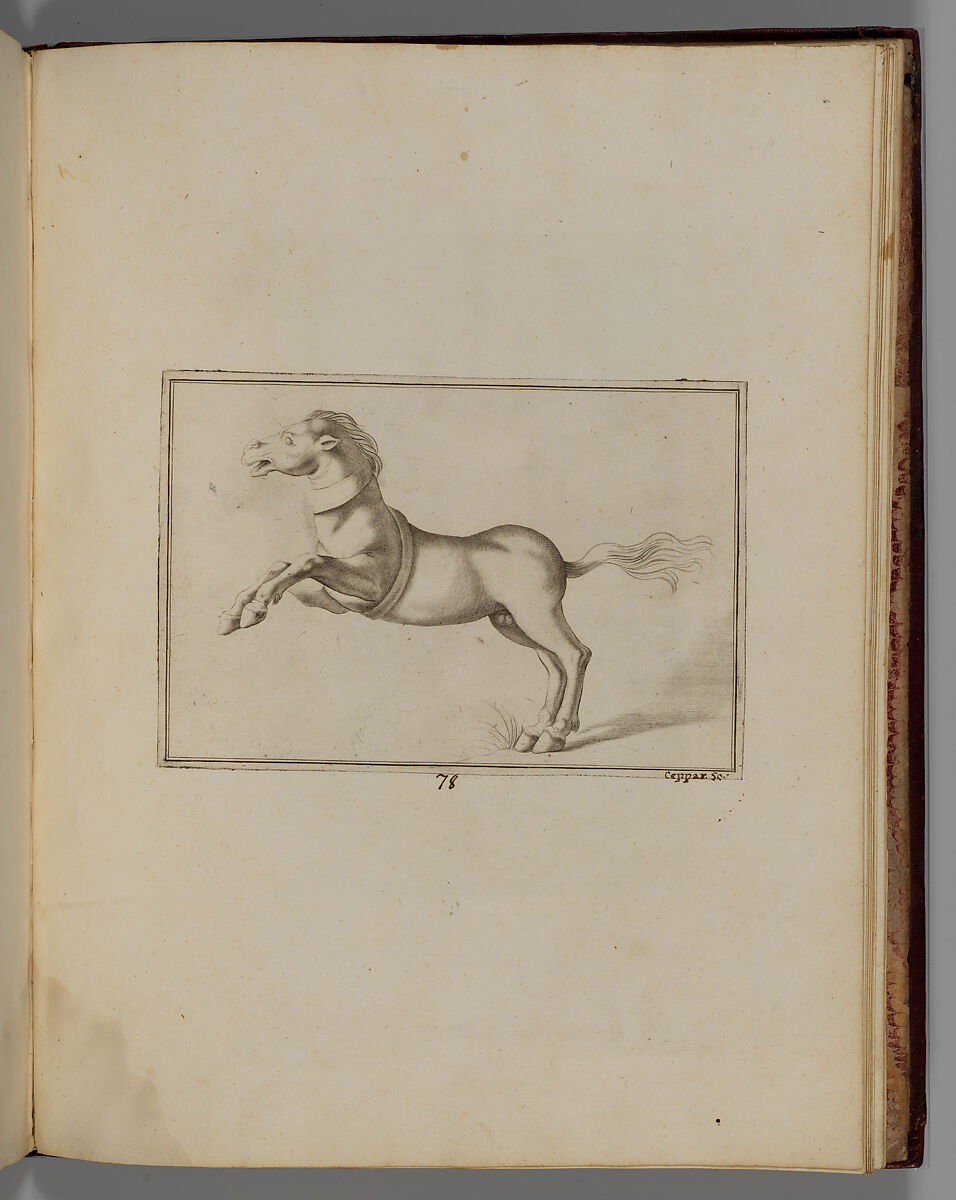 Disegni intagliati in rame di pitture antiche ritrovate nelle scavazioni di Resina, Francesco Sesoni