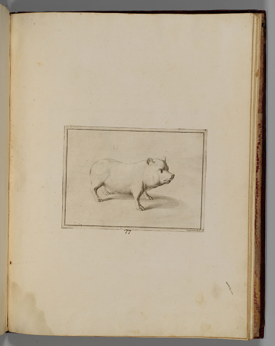 Disegni intagliati in rame di pitture antiche ritrovate nelle scavazioni di Resina, Francesco Sesoni