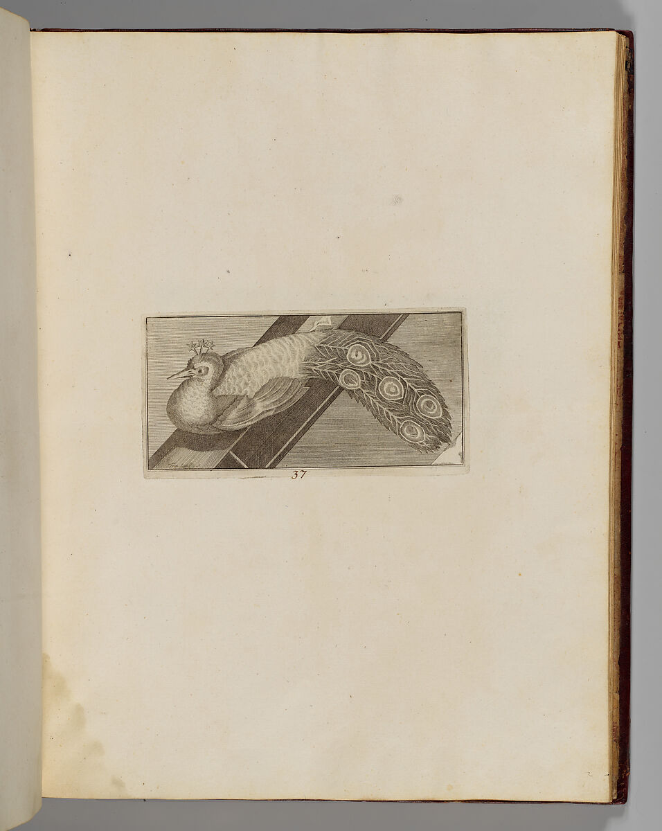 Disegni intagliati in rame di pitture antiche ritrovate nelle scavazioni di Resina, Francesco Sesoni