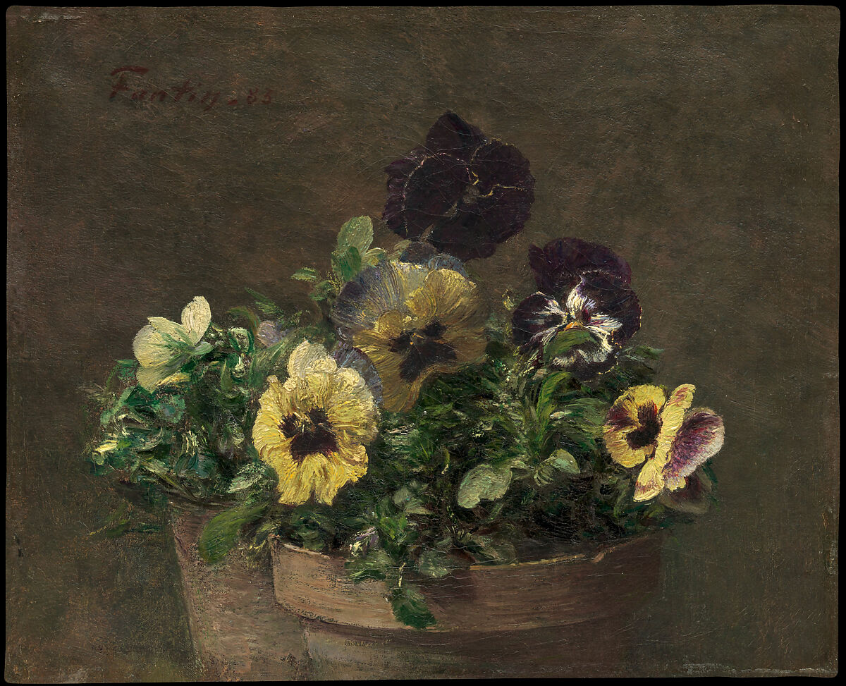 Potted Pansies, Henri Fantin-Latour (French, Grenoble 1836–1904 Buré), Oil on canvas 