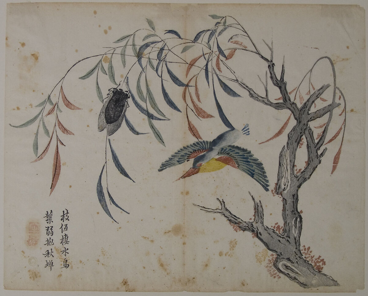 Kingfisher, Cicada, and Willow Tree, Polychrome woodblock print; ink and color on paper, China 