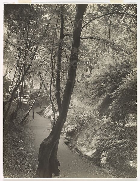 Footpath in the Siebengebirge, August Sander (German, 1876–1964), Gelatin silver print 