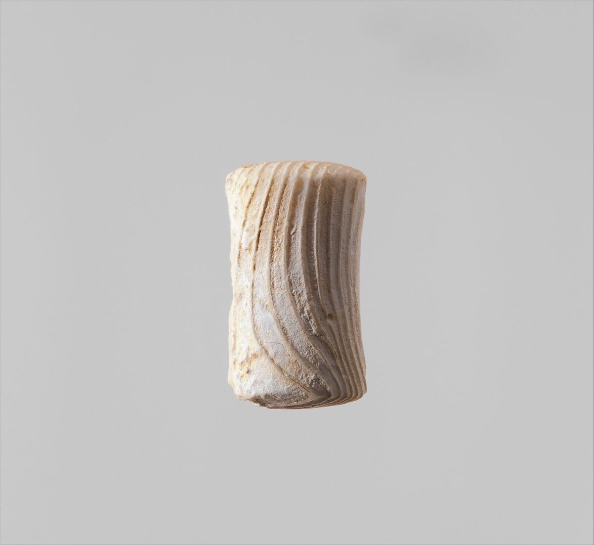 Shell pestle/polisher, Spondylus shell (aragonite), Cycladic 