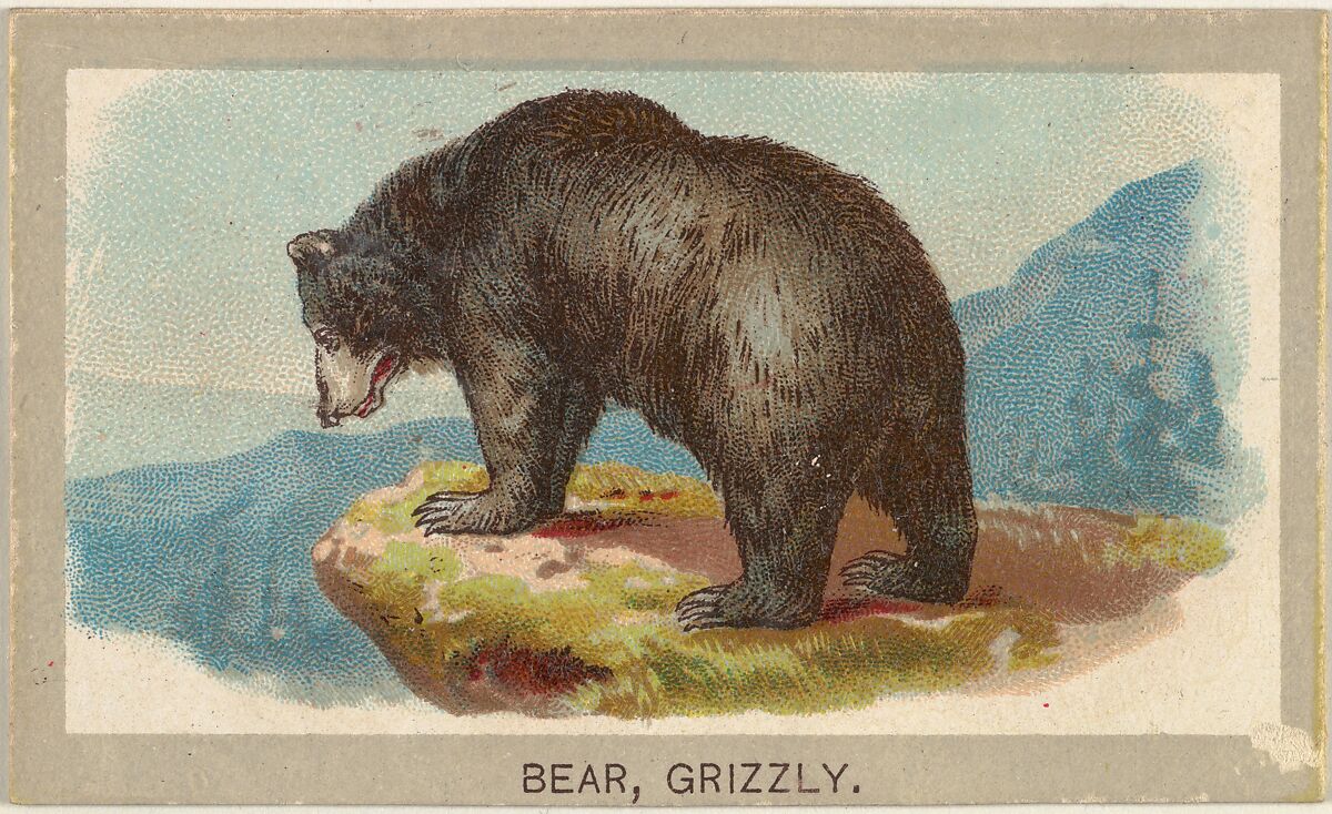 Grizzly Bear, from the Animals of the World series (T180), issued by Abdul Cigarettes, Issued by Abdul Cigarettes (American), Commercial color lithograph 