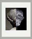 Rona Pondick: The Metamorphosis of an Object, Rona Pondick (American, born 1952), Offset-lithograph and linen case