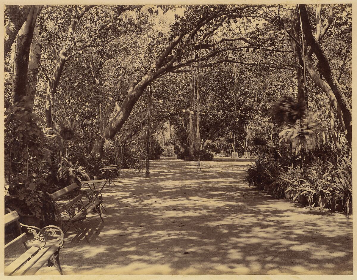 Sookh-Vilas Palace Garden, Lala Deen Dayal (Indian, Sardhana 1844–1905), Albumen silver print from glass negative 