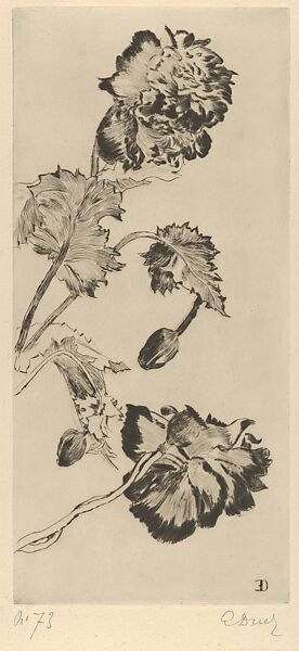 Flowers (Fleurs), from "L'Estampe Originale", Ernest-Ange Duez (French, Paris 1843–1896 Forest of Saint-Germain), Drypoint 