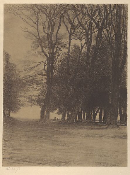 Cluster of Trees (Bouquet d'Arbres), from "L'Estampe Originale", Charles-Marie Dulac (French, Paris 1865–1898 Paris), Lithograph 