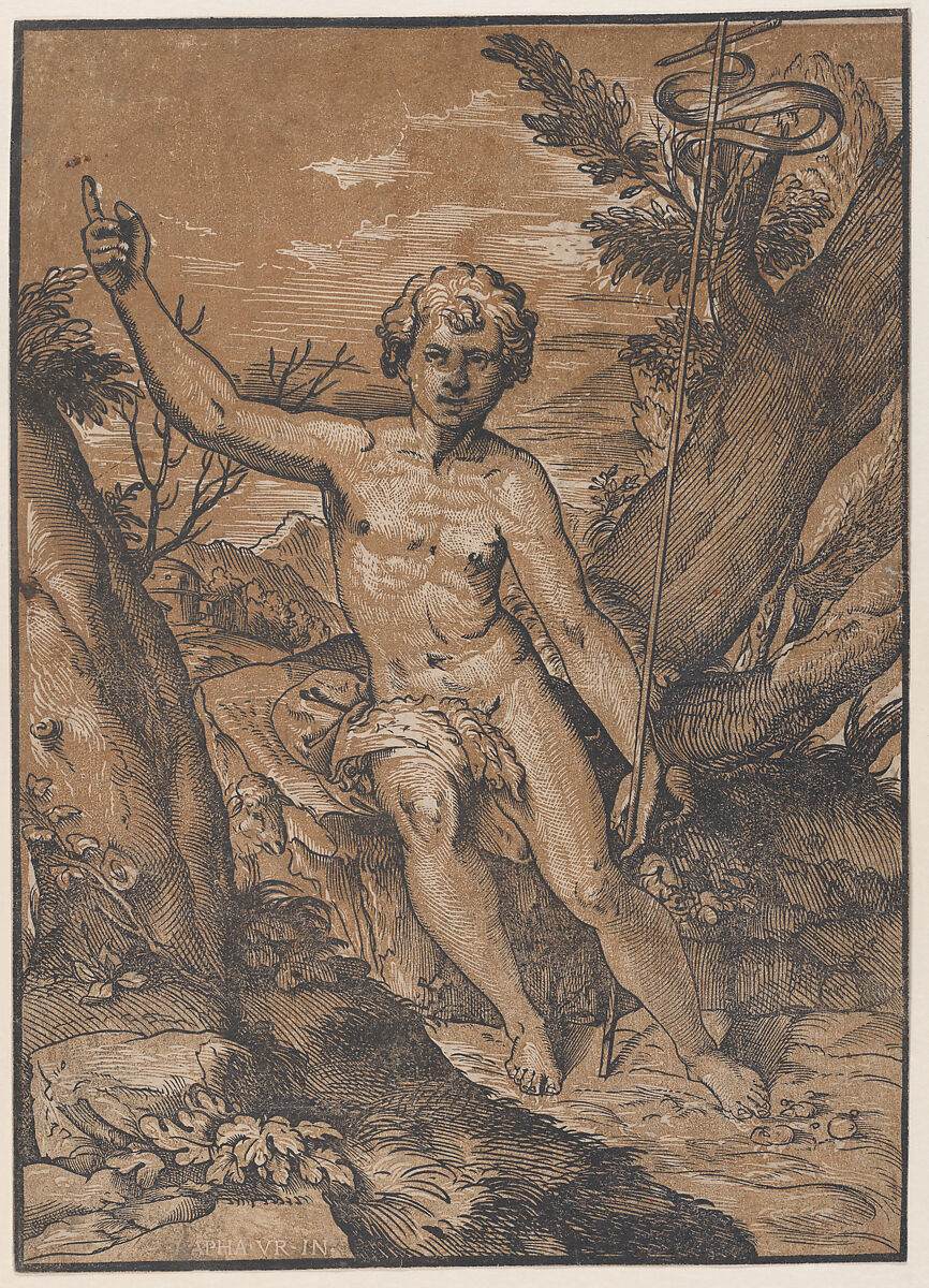 The young Saint John the Baptist in the wilderness, Ugo da Carpi (Italian, Carpi ca. 1480–1532 Bologna), Chiaroscuro woodcut from two blocks in brown 