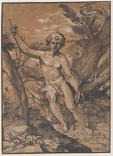 The young Saint John the Baptist in the wilderness