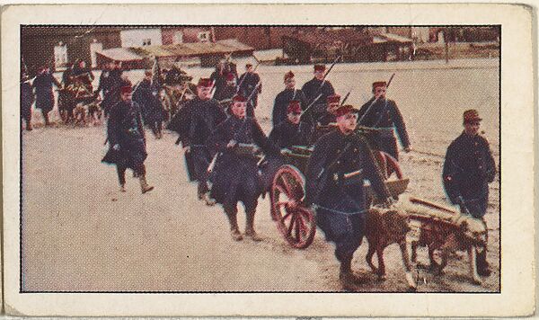 Card No. 114, Belgian Artillery with Rapid Fire Guns Drawn by Dogs En route to Firing Line, from the World War I Scenes series (T121) issued by Sweet Caporal Cigarettes, Issued by American Tobacco Company, Photolithograph 