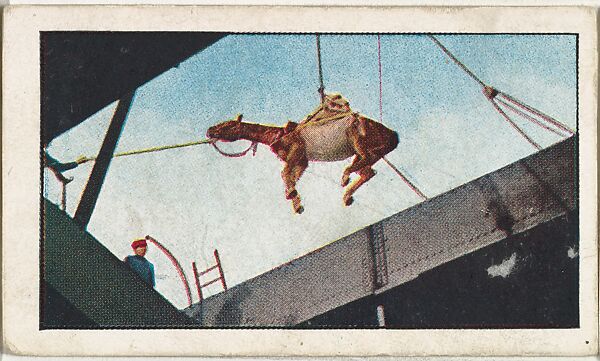 Card No. 216, Hoisting Cavalry Horses Aboard a Transport, from the World War I Scenes series (T121) issued by Sweet Caporal Cigarettes, Issued by American Tobacco Company, Photolithograph 