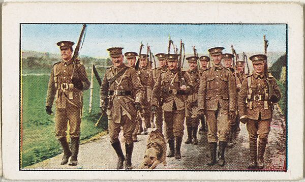 Card No. 217, Dogs for Scouting Purposes, from the World War I Scenes series (T121) issued by Sweet Caporal Cigarettes, Issued by American Tobacco Company, Photolithograph 