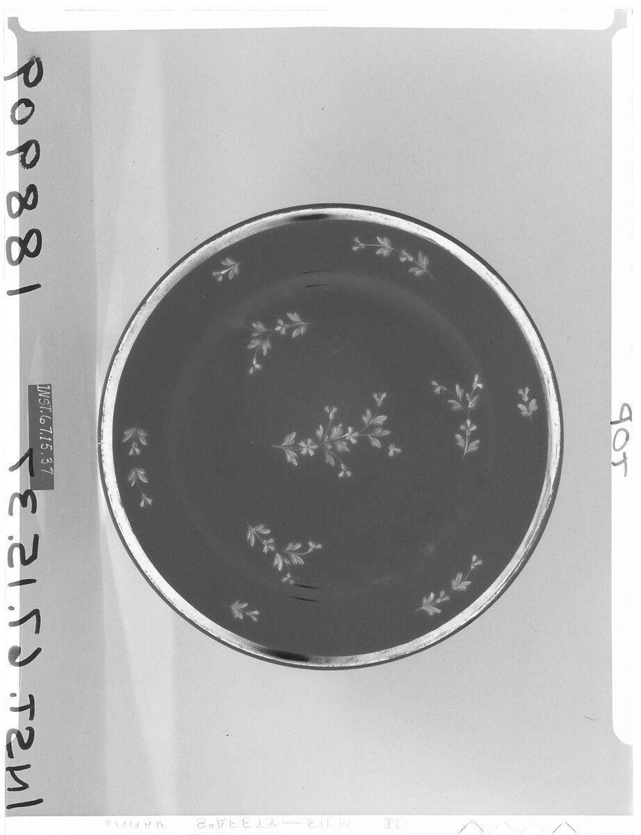 Plate, Porcelain, French