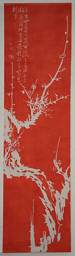 Plum Blossoms