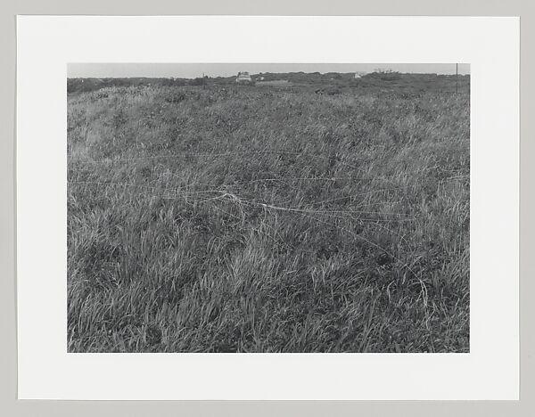 American Abstract Artists 75th Anniversary Print Portfolio 2012, American Abstract Artists, A portfolio of 48 ink jet prints