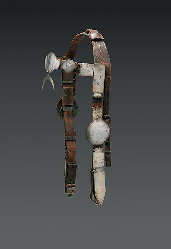 Bridle