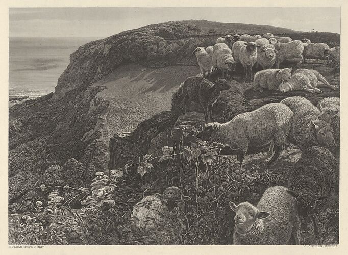 On the Hill Side (Our English Coasts, 1852), from 