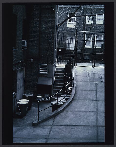 From the Series "traces & presence" (presence), Tim Maul (American, born 1951), Silver dye bleach print 