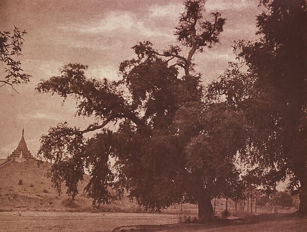 Ye-nan-gyoung: Tamarind Tree, Linnaeus Tripe (British, Devonport (Plymouth Dock) 1822–1902 Devonport) 