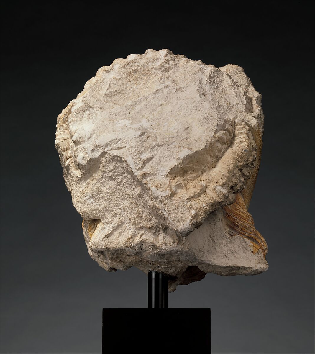 Head of Saint James the Greater, Limestone with traces of paint, French