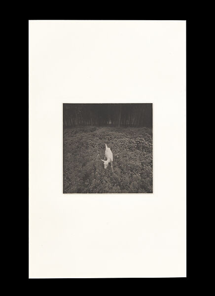 Odes, Taca Sui (Chinese, born 1984), 108 silver gelatin prints mounted in 9 albums, China