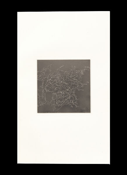 Odes, Taca Sui (Chinese, born 1984), 108 silver gelatin prints mounted in 9 albums, China