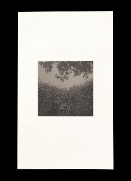 Odes, Taca Sui (Chinese, born 1984), 108 silver gelatin prints mounted in 9 albums, China