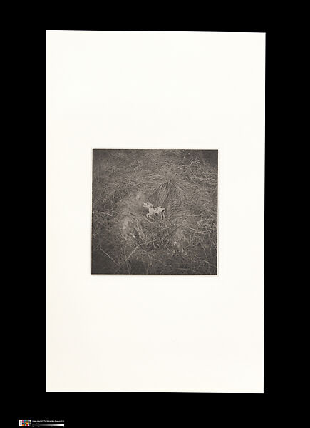 Odes, Taca Sui (Chinese, born 1984), 108 silver gelatin prints mounted in 9 albums, China