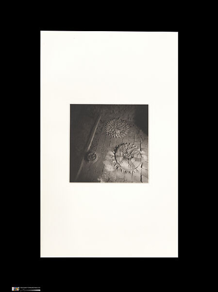 Odes, Taca Sui (Chinese, born 1984), 108 silver gelatin prints mounted in 9 albums, China