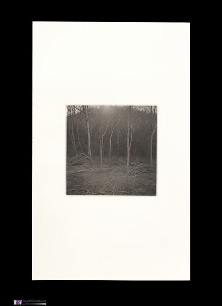 Odes, Taca Sui (Chinese, born 1984), 108 silver gelatin prints mounted in 9 albums, China