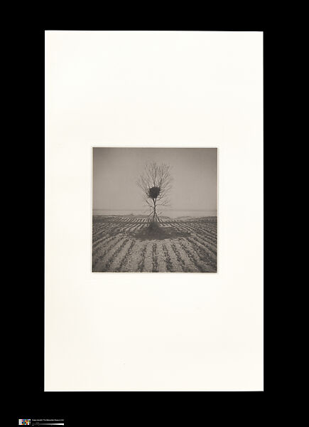 Odes, Taca Sui (Chinese, born 1984), 108 silver gelatin prints mounted in 9 albums, China