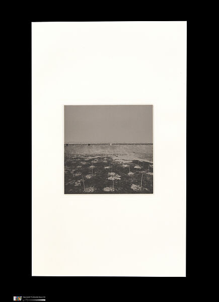 Odes, Taca Sui (Chinese, born 1984), 108 silver gelatin prints mounted in 9 albums, China