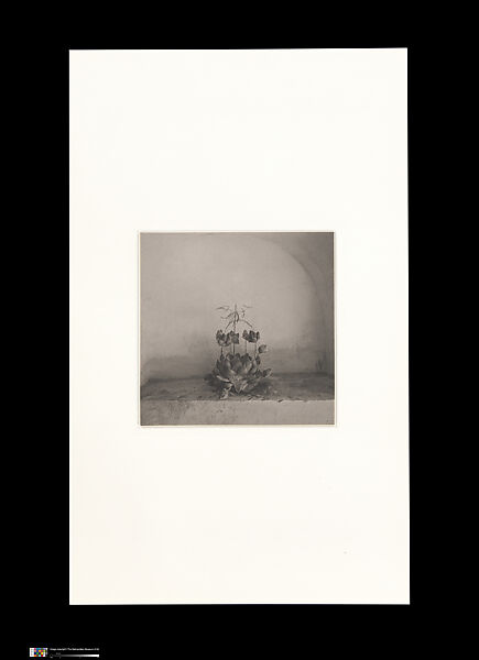 Odes, Taca Sui (Chinese, born 1984), 108 silver gelatin prints mounted in 9 albums, China