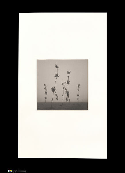 Odes, Taca Sui (Chinese, born 1984), 108 silver gelatin prints mounted in 9 albums, China