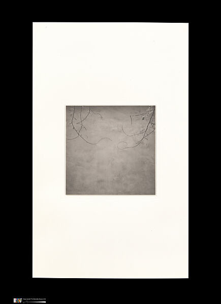 Odes, Taca Sui (Chinese, born 1984), 108 silver gelatin prints mounted in 9 albums, China