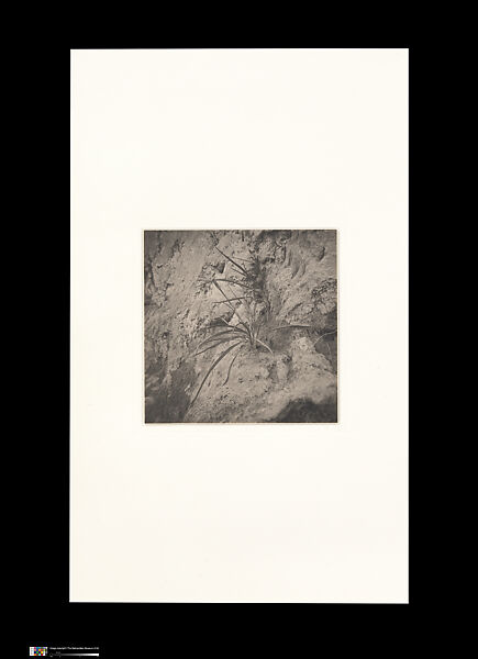 Odes, Taca Sui (Chinese, born 1984), 108 silver gelatin prints mounted in 9 albums, China