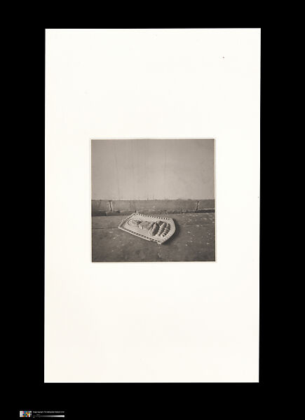 Odes, Taca Sui (Chinese, born 1984), 108 silver gelatin prints mounted in 9 albums, China