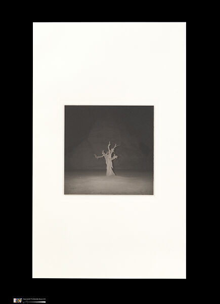 Odes, Taca Sui (Chinese, born 1984), 108 silver gelatin prints mounted in 9 albums, China