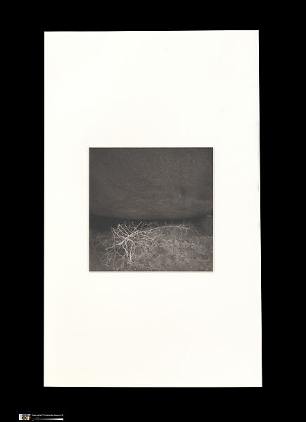 Odes, Taca Sui (Chinese, born 1984), 108 silver gelatin prints mounted in 9 albums, China