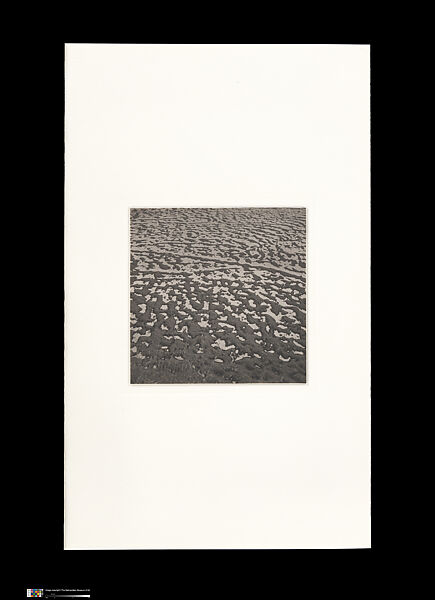 Odes, Taca Sui (Chinese, born 1984), 108 silver gelatin prints mounted in 9 albums, China