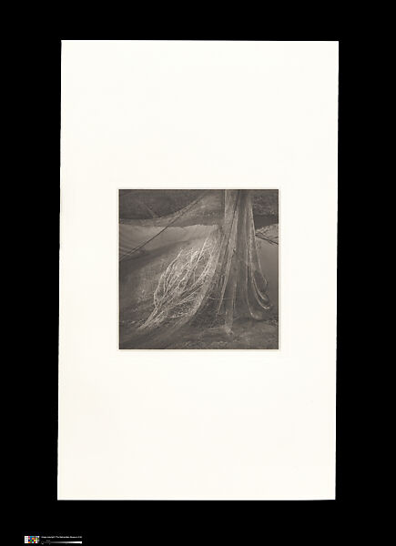 Odes, Taca Sui (Chinese, born 1984), 108 silver gelatin prints mounted in 9 albums, China
