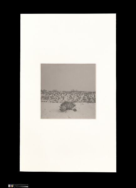 Odes, Taca Sui (Chinese, born 1984), 108 silver gelatin prints mounted in 9 albums, China