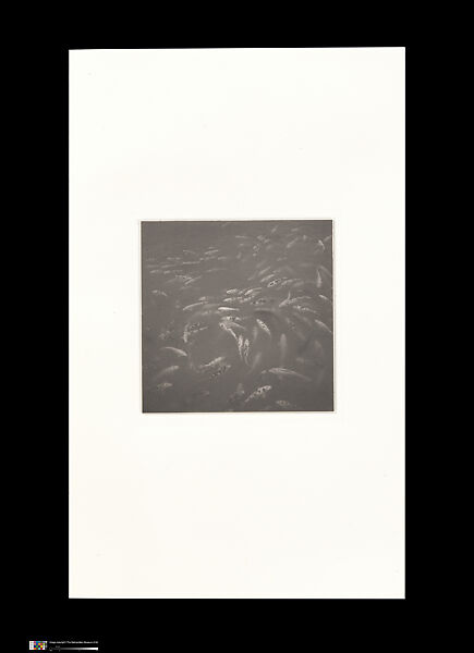 Odes, Taca Sui (Chinese, born 1984), 108 silver gelatin prints mounted in 9 albums, China